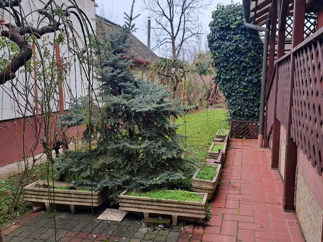 Eladó ház Martfű 170 nm