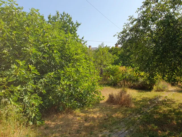 Eladó ház Tapolca, Keleti városrész 140 nm