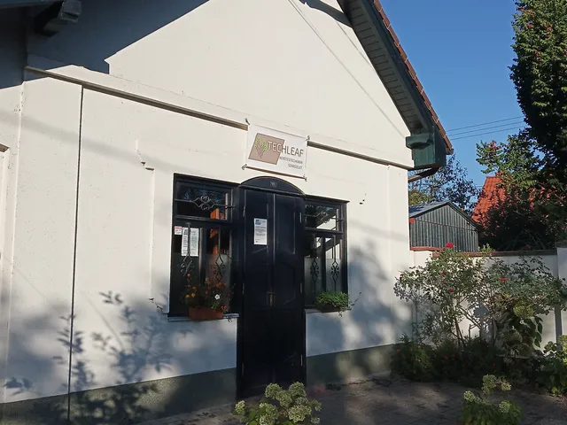 Kiadó kereskedelmi és ipari ingatlan Gödöllő, Alvég 23 nm