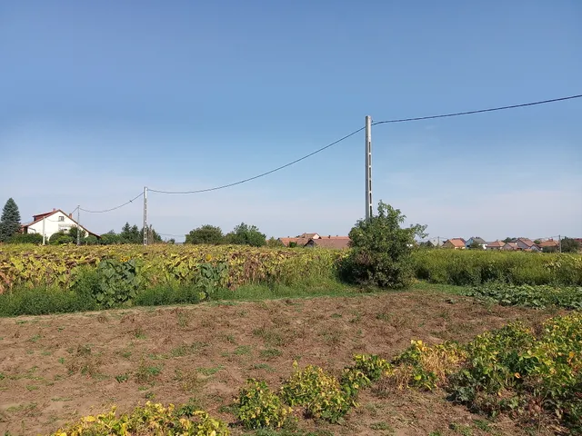 Eladó telek Dány 590 nm
