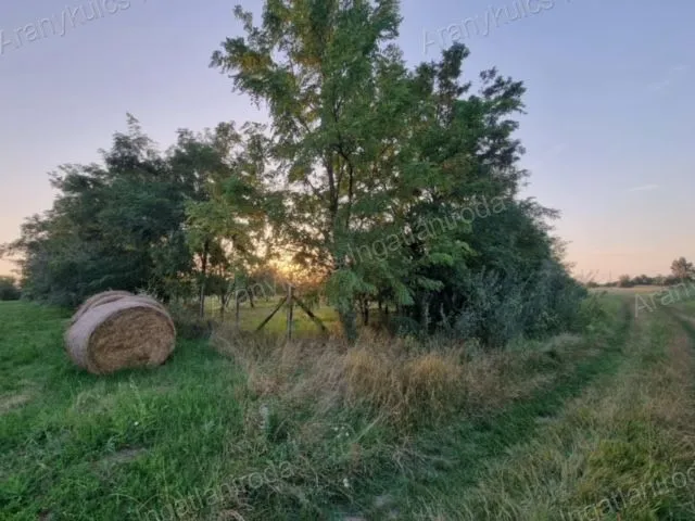 Eladó mezőgazdasági ingatlan Gyula 35 nm