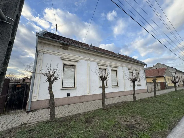 Eladó ház Elek 169 nm