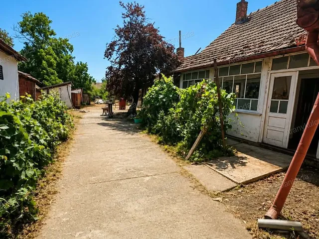 Eladó ház Zsadány 117 nm
