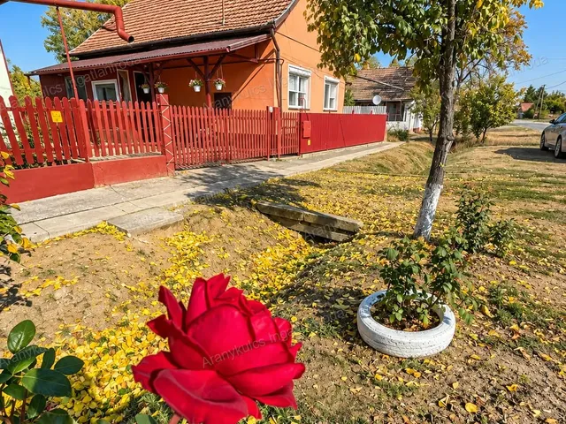 Eladó ház Mezőgyán 74 nm