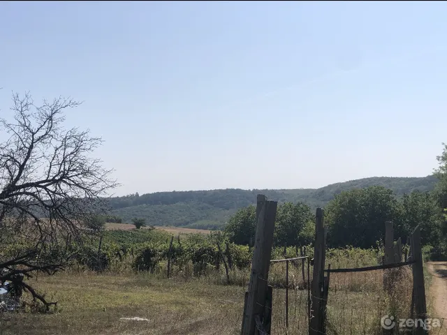 Eladó mezőgazdasági ingatlan Balatonendréd, Rózsahegy 5155 nm