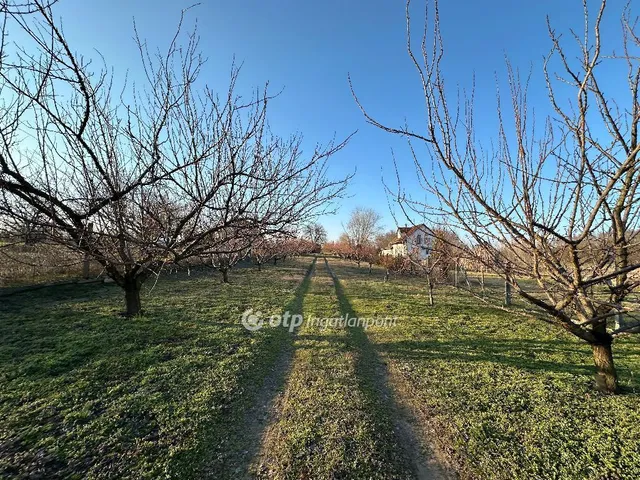 Eladó telek Nyíregyháza, Sóstóhegy 3930 nm