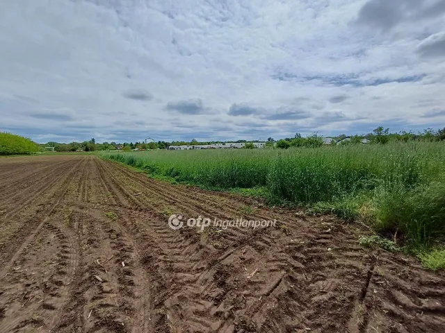 Eladó telek Nyíregyháza 5920 nm