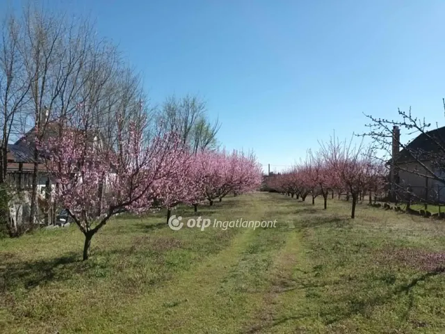 Eladó telek Nyíregyháza 3930 nm