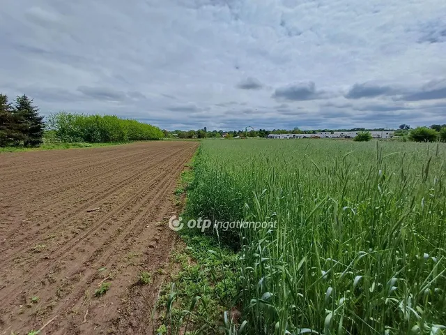 Eladó telek Nyíregyháza 5920 nm