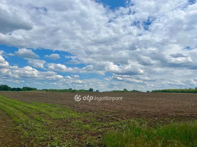 Eladó telek Nyíregyháza 25000 nm