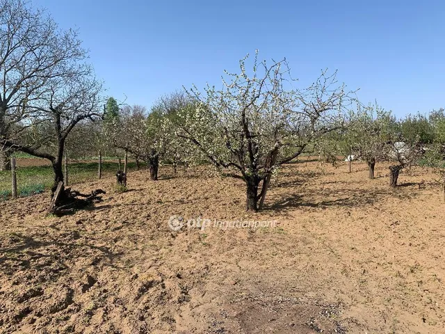 Eladó telek Nyíregyháza 1183 nm