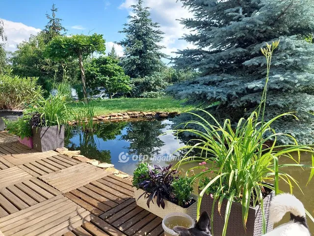 Eladó ház Nagykálló 150 nm