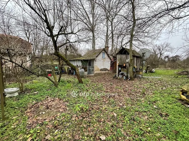 Eladó mezőgazdasági ingatlan Nyírtelek 58 nm