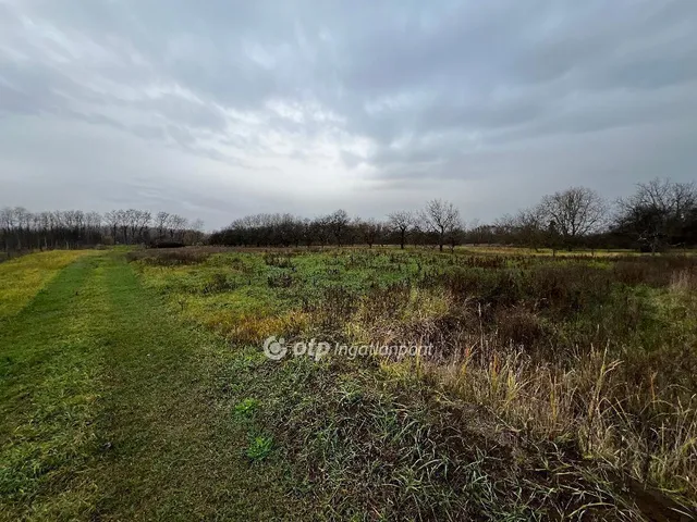 Eladó telek Nyíregyháza 2792 nm