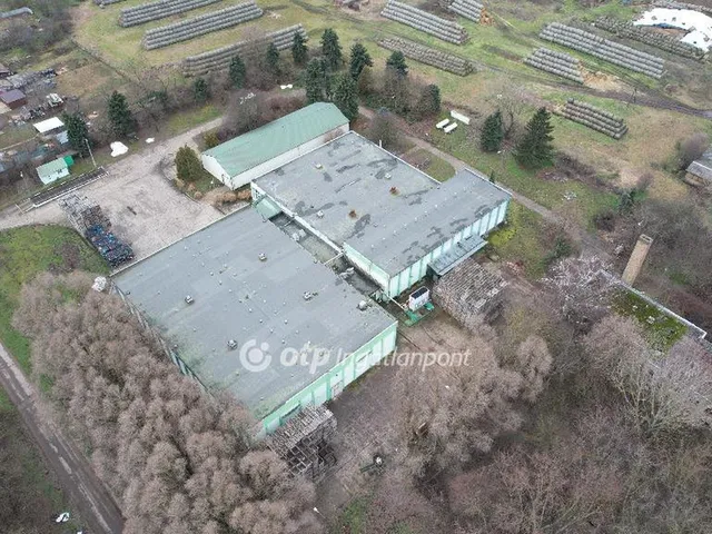 Eladó kereskedelmi és ipari ingatlan Nyírtelek 4000 nm