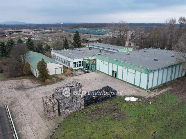 Eladó kereskedelmi és ipari ingatlan Nyírtelek 4000 nm