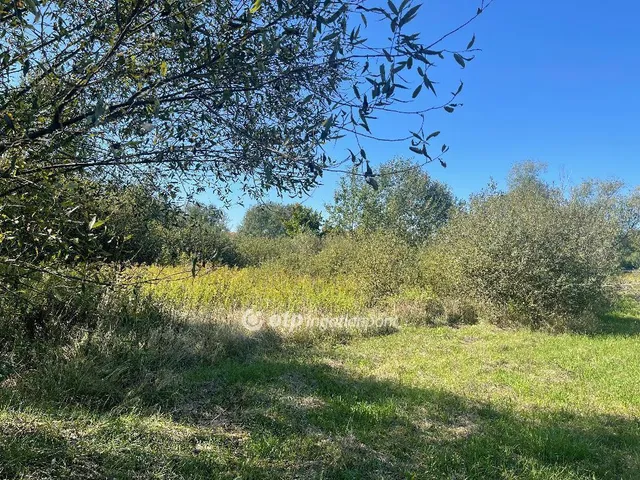 Eladó telek Nyíregyháza 2329 nm