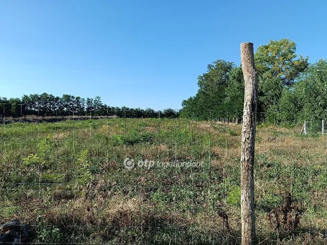 Eladó telek Nyíregyháza 16000 nm