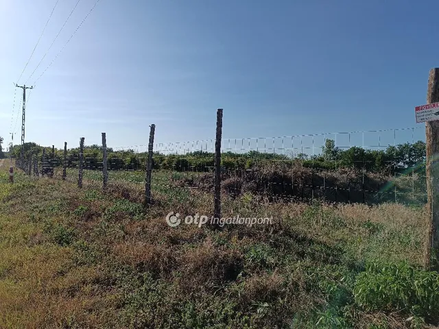 Eladó telek Nyíregyháza 16000 nm
