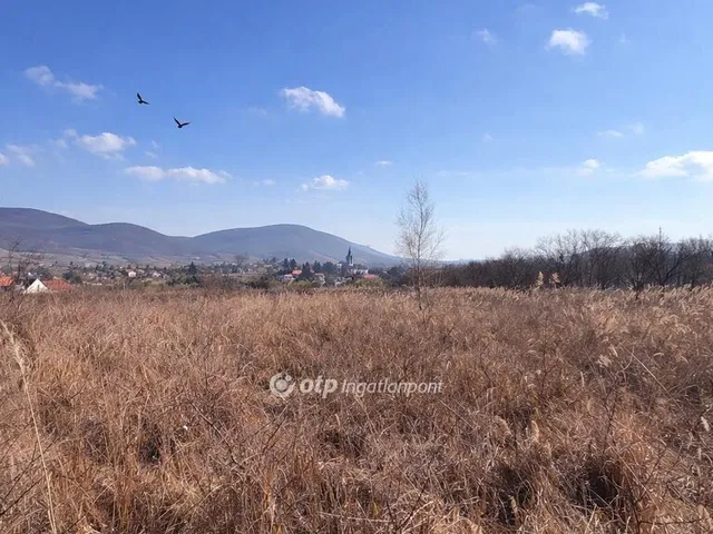 Eladó ház Erdőbénye 81 nm