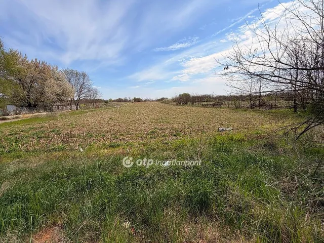 Eladó telek Nyíregyháza 5555 nm