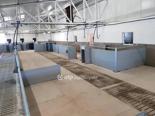 Eladó kereskedelmi és ipari ingatlan Hajdúdorog 3104 nm