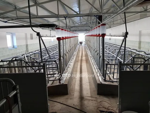 Eladó kereskedelmi és ipari ingatlan Hajdúdorog 3104 nm