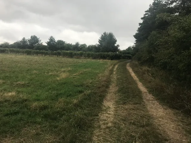 Eladó telek Sárvár, Vöröskavicsos út. 3200 nm