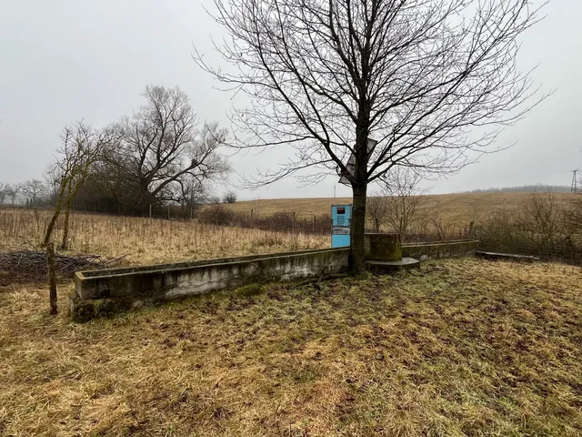 Eladó mezőgazdasági ingatlan Vásárosmiske 80000 nm