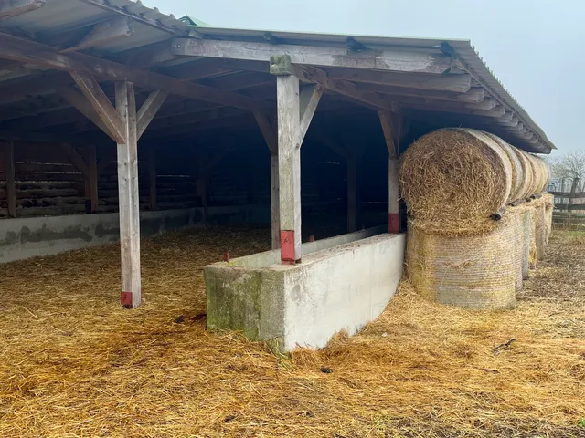 Eladó mezőgazdasági ingatlan Vásárosmiske 80000 nm