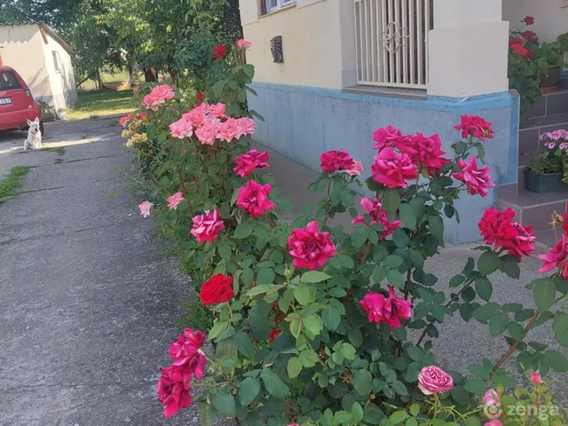 Eladó ház Nagyréde 106 nm