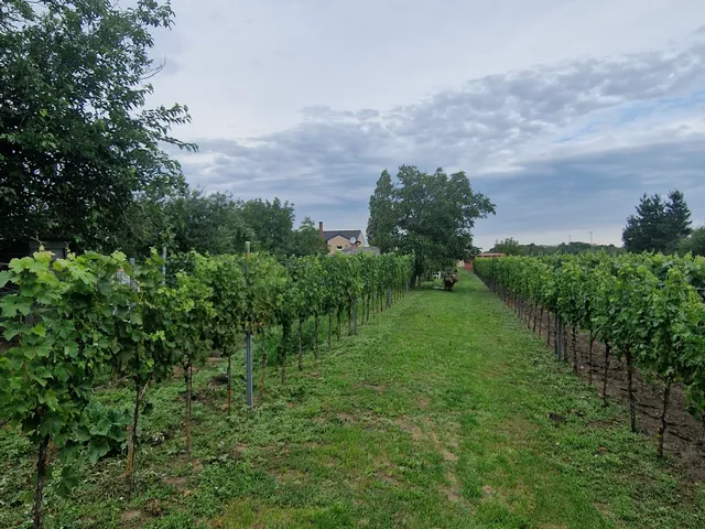 Eladó ház Levél 124 nm