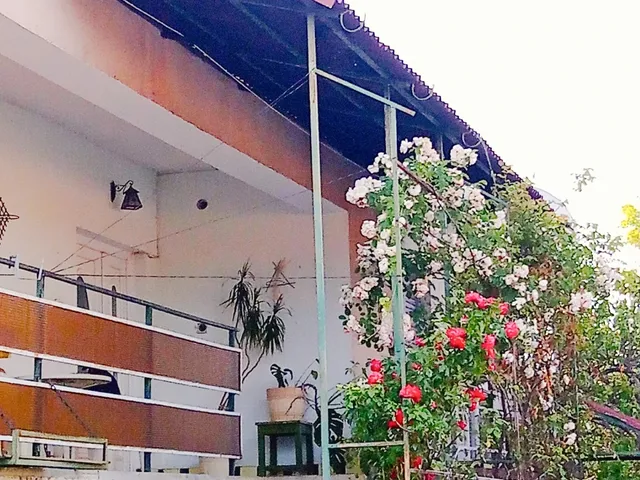 Eladó ház Balatonfűzfő, Radnóti Miklós utca 168 nm