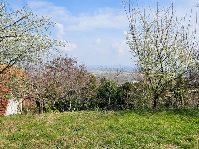 Eladó telek Pomáz, Messelia 638 nm