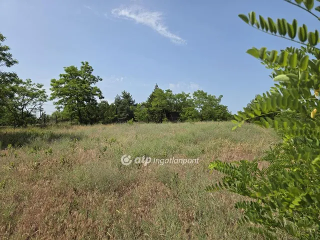 Eladó telek Tura 913 nm