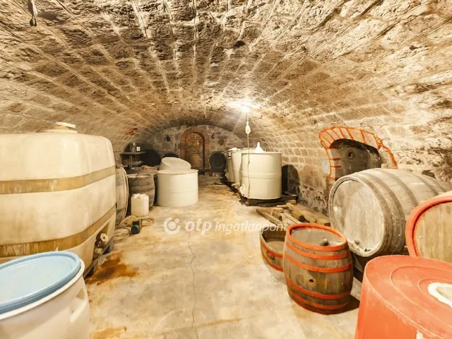 Eladó ház Visonta 1195 nm