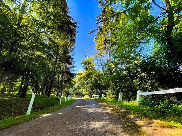 Eladó ház Visonta 1195 nm