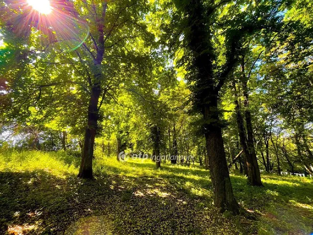 Eladó ház Visonta 1195 nm