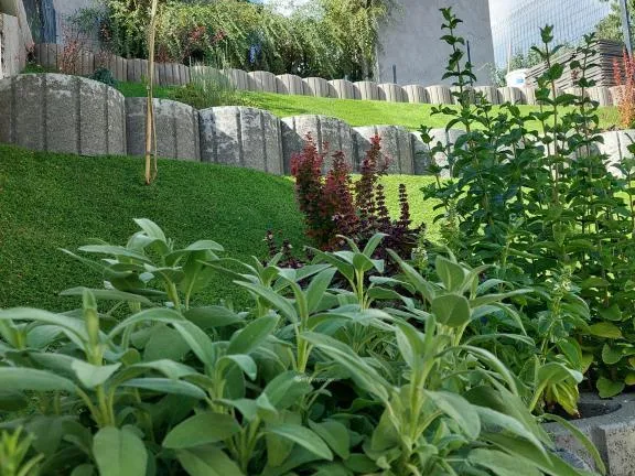 Eladó ház Eger 79 nm