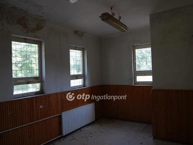 Eladó üdülő és hétvégi ház Csány 800 nm