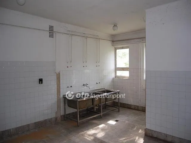 Eladó üdülő és hétvégi ház Csány 800 nm