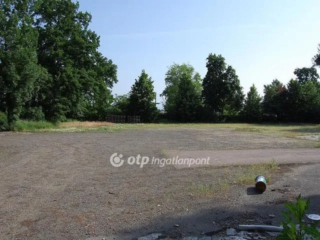 Eladó üdülő és hétvégi ház Csány 800 nm