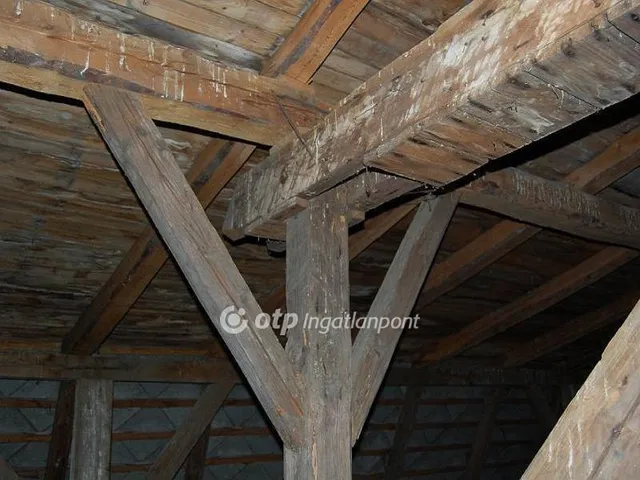 Eladó üdülő és hétvégi ház Csány 800 nm