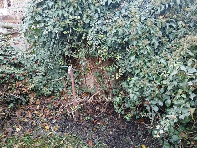 Eladó ház Karácsond 111 nm