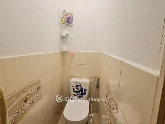 Eladó ház Maklár 162 nm