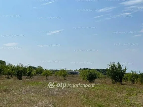 Eladó telek Fehérgyarmat 8593 nm