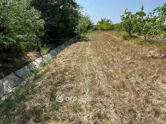 Eladó telek Fehérgyarmat 8593 nm