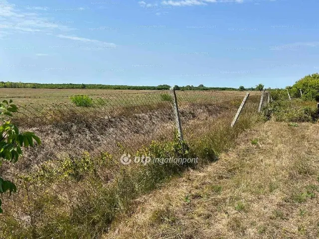 Eladó telek Fehérgyarmat 8593 nm