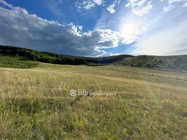 Eladó telek Bátor 6049 nm