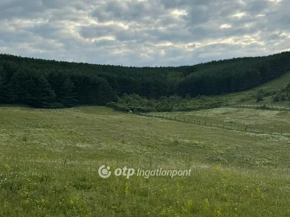 Eladó telek Bátor 6049 nm